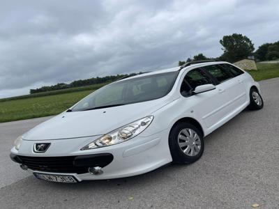 Spezedam Peugeot 307