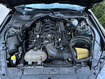 Ford Mustang 5.0 V8 Bullitt / GT / Krajowy / Bezwypadkowy
