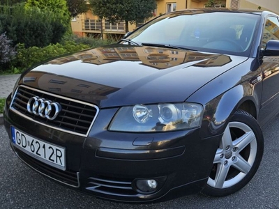 Audi A3 8P 2004r 2.0 TDI 140km -Ambiente ,Bose ,zadbany