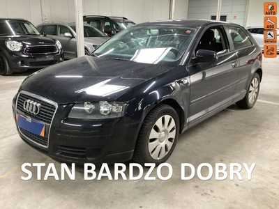 Audi A3 II (8P) Benzyna 1,6 MPi/CLIMAtronic/Zadbany