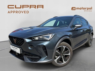 Cupra 2022