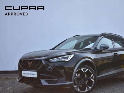 Cupra 2022