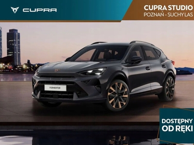 Cupra 2024