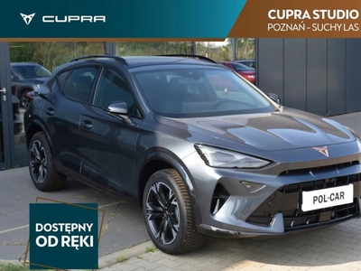 Cupra 2024