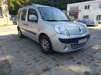 Renault Kangoo 1.6 family