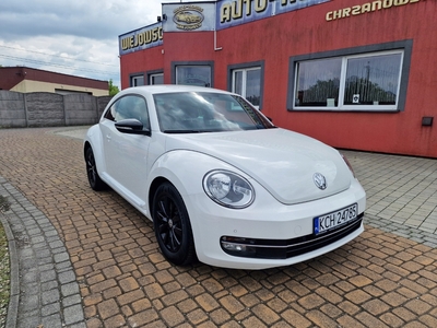 Volkswagen Beetle Hatchback 3d 1.6 TDI 105KM 2013