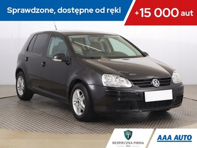 Volkswagen Golf V Hatchback 1.9 TDI 105KM 2006