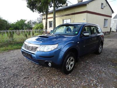 Subaru Forester silnik w bagazniku