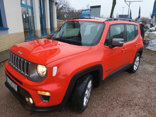 Jeep Renegade 2019 1.0 T