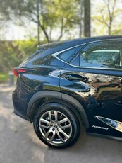 Lexus NX 300h 2020 Premium 4WD