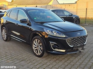 Używany Ford Kuga 2023