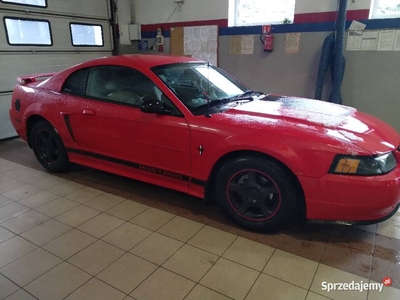 Mustang 3.9