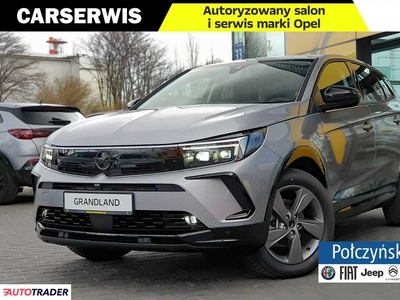 Opel Grandland X 1.2 benzyna 130 KM 2023r. (Warszawa)