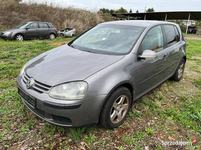 VOLKSWAGEN GOLF V 1.9TDI COMFORTLINE - hatchback, 5 drzwi