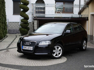 Audi A3 Lift - Climatronic - 6 Bieg - Alu - GWARANCJA - Zakup Door To Door…