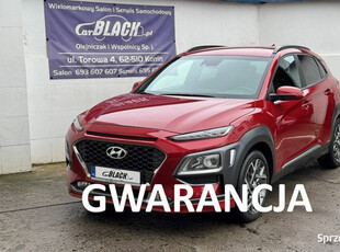 Hyundai Kona Pisemna Gwarancja 12 miesięcy I (2017-2023)