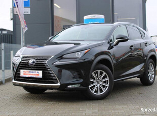 Lexus NX, 2021r. Hybrid || Kamera || Skóry || FV23% || Okazja