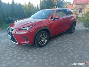 Lexus NX 300h, 2494 197 KM, Bogata wersja, serwis