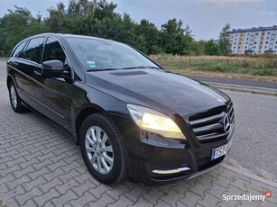 Mercedes W251