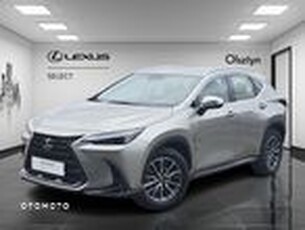 Używany Lexus NX 2023