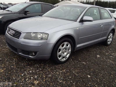 Audi A3 II (8P) 1.9 TDI Attraction