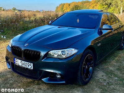 BMW Seria 5 528i xDrive