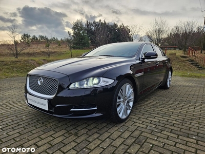 Jaguar XJ 3.0 D V6 Premium Luxury