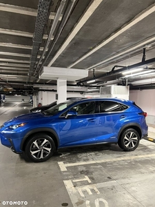 Lexus NX 300h E-FOUR Luxury Line