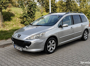 Peugeot 307 1,6 LPG 2008 r. Salon PL Lift