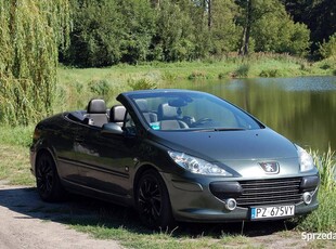 Peugeot 307 CC Cabrio