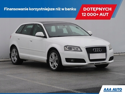 Audi A3 8P Hatchback 3d 1.4 TFSI 125KM 2009