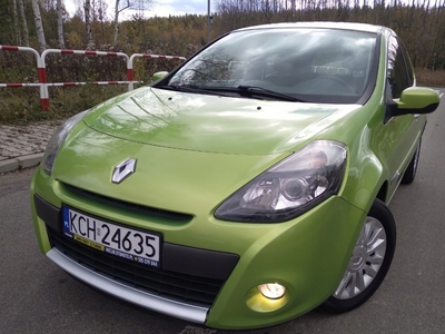 Renault Clio III Hatchback 5d 1.2 i 16V 75KM 2010