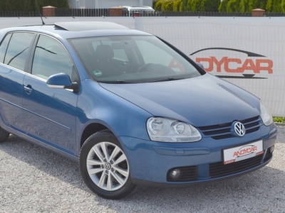 Volkswagen Golf V Hatchback 1.9 TDI 105KM 2007