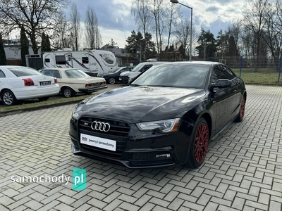 Audi S5 bez wersji