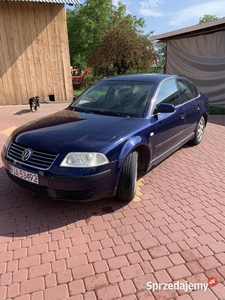 Passat b5fl