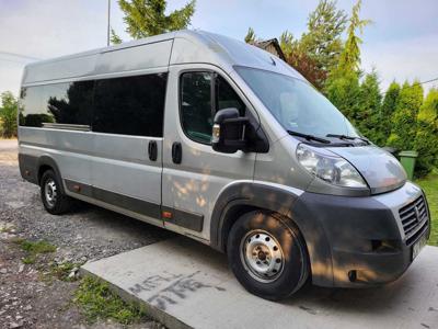 Fiat Ducato 9 osobowy Maxi 3.0