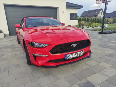 Używane Ford Mustang - 129 000 PLN, 14 400 km, 2020