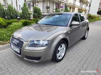 Audi A3 1.6 Mpi Benzyna 179tys km Bardzo ładna