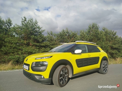 Citroen C4 cactus