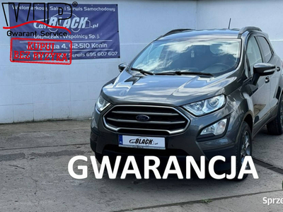 Ford EcoSport Pisemna Gwarancja 12 miesiecy II (2013-)