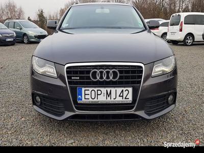 Audi A4 IV (B8) 3.0 TDI 300KM Quattro Avant Zarejestrowany