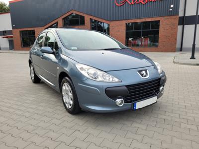 Peugeot 307 Lifting 1.4 Benzyna od nowości w jednej rodzinie.