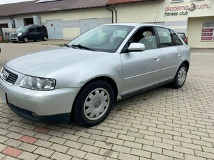 Audi A3 8L Hatchback 1.6 i 102KM 2002