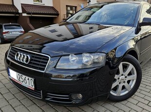 Audi A3 8P 2006r 2.0 TDI Quattro-bogata wersja wyposazenia,navi ,bose