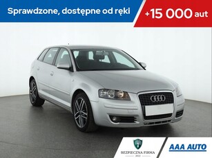 Audi A3 8P Hatchback 3d 1.9 TDI 105KM 2006