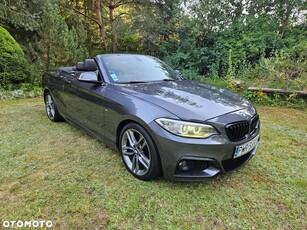 BMW Seria 2 220d Sport Line sport