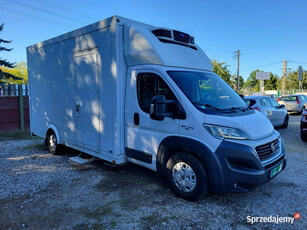 Fiat Ducato Chłodnia 2xkomora/Zasilanie 230V/Salon / FV23% / Leasing