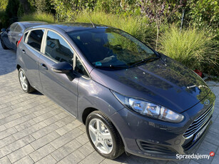 Ford Fiesta jak nowa !!! Niski oryginalny przebieg !!! Mk7 (2008-)