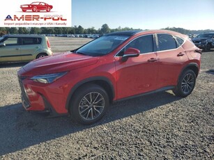 Lexus NX II 2024