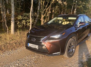 Lexus NX NX 14- Zadbany, hybryda, dewasto, hak, stan, 4x4